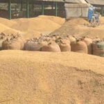 *छत्तीसगढ़ की समृद्धि का यह सफर आज फिर एक नई उम्मीद और किसानों के अटूट विश्वास की रोशनी के साथ आगे बढ़ रहा है- मुख्यमंत्री छत्तीसगढ़ शासन*